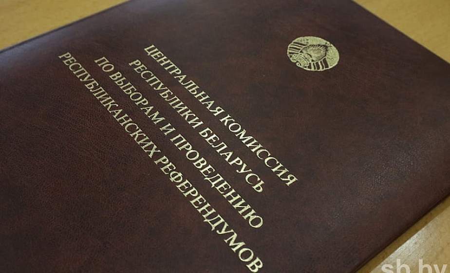 ЦИК аккредитовала первых наблюдателей от БДИПЧ ОБСЕ на парламентских выборах в Беларуси