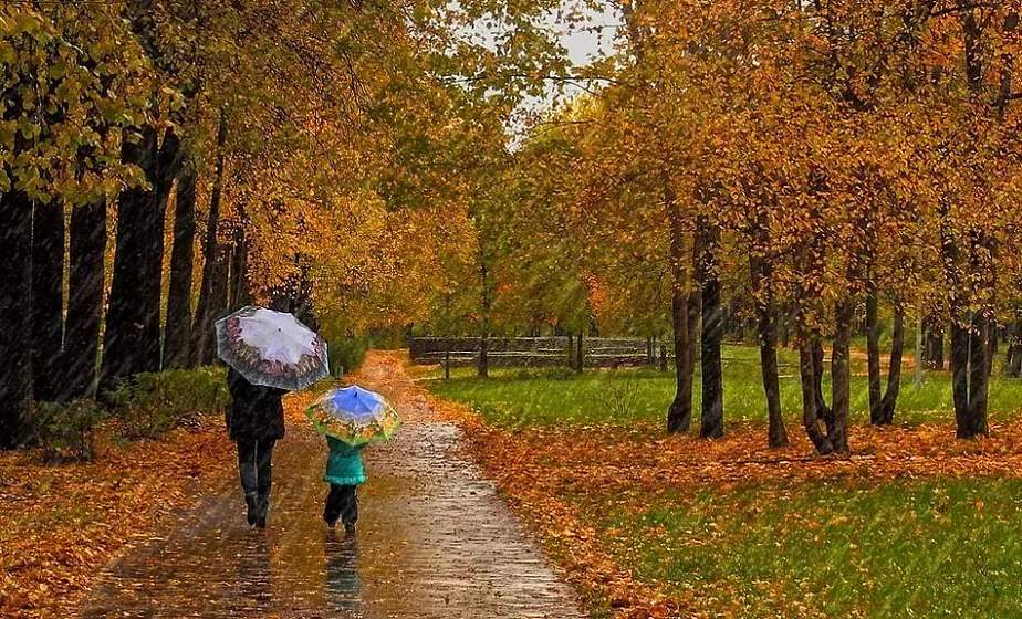 Дождливо и до +20°С будет в Беларуси 3 октября