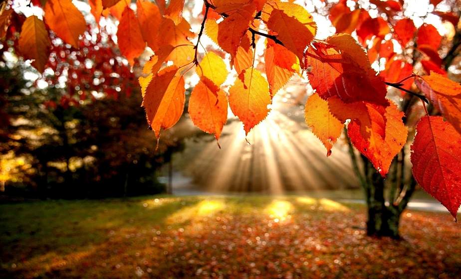 Облачно и до +10°С ожидается в Беларуси 29 октября