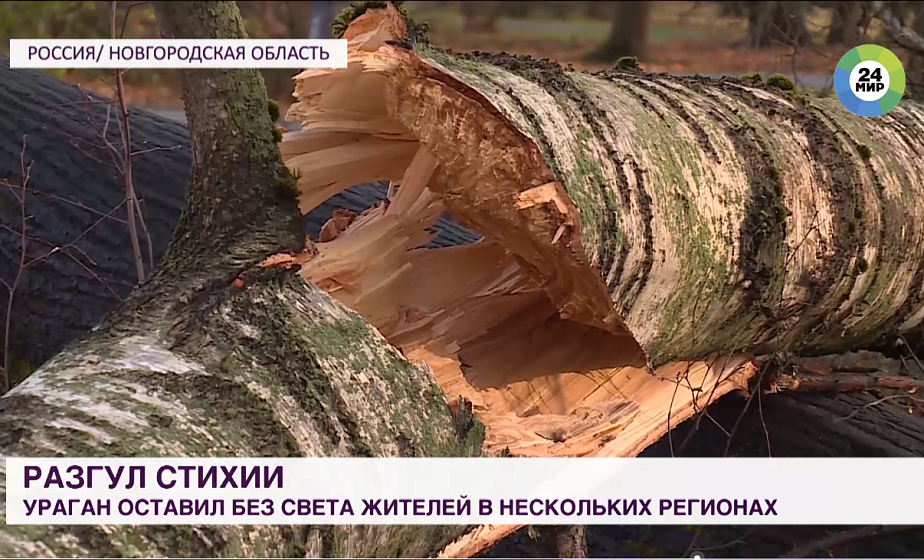Ураган в России оставил без света сотни домов и остановил поезда