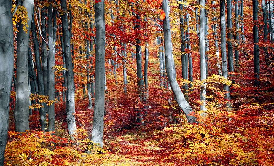 Тепло, но с дождями. Погода в Беларуси на неделю 