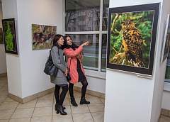 Про озеро с сотней островов, белорусское сафари и несущихся зубров. Истории Сергея Плыткевича и его фотовыставка «Планета Беларусь» в Гродно 