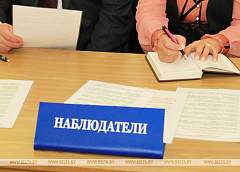 Союзные парламентарии будут наблюдать за выборами в Палату представителей