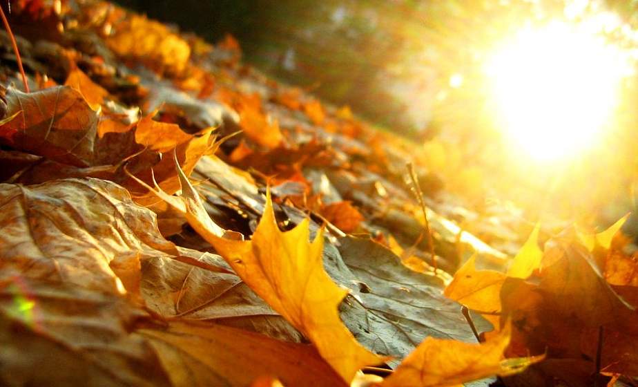 Ветрено и до +15°С будет в Беларуси 13 ноября