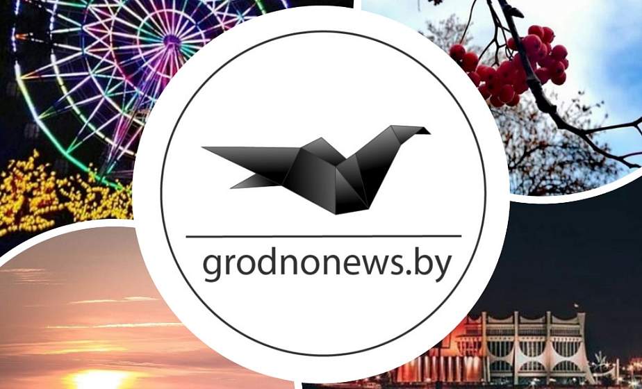 Благородный олень, яркие огни колеса и тепло ноября: топ-10 атмосферных фото из соцсетей