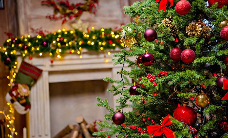 «Моя елочка самая красивая». Объявляем конкурс на самую лучшую домашнюю новогоднюю елочку. Присылайте фото