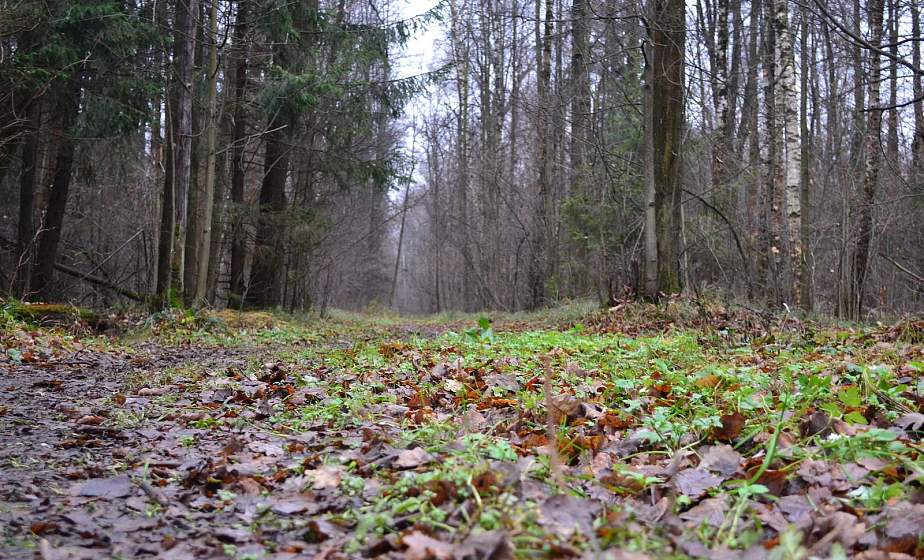 В Лиде почти две недели искали пропавшего молодого человека. Все это время он жил в лесу