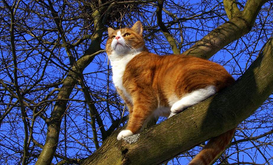  Туман, чуть-чуть снега и почти весна. Какой будет погода в Гродно на этой неделе?
