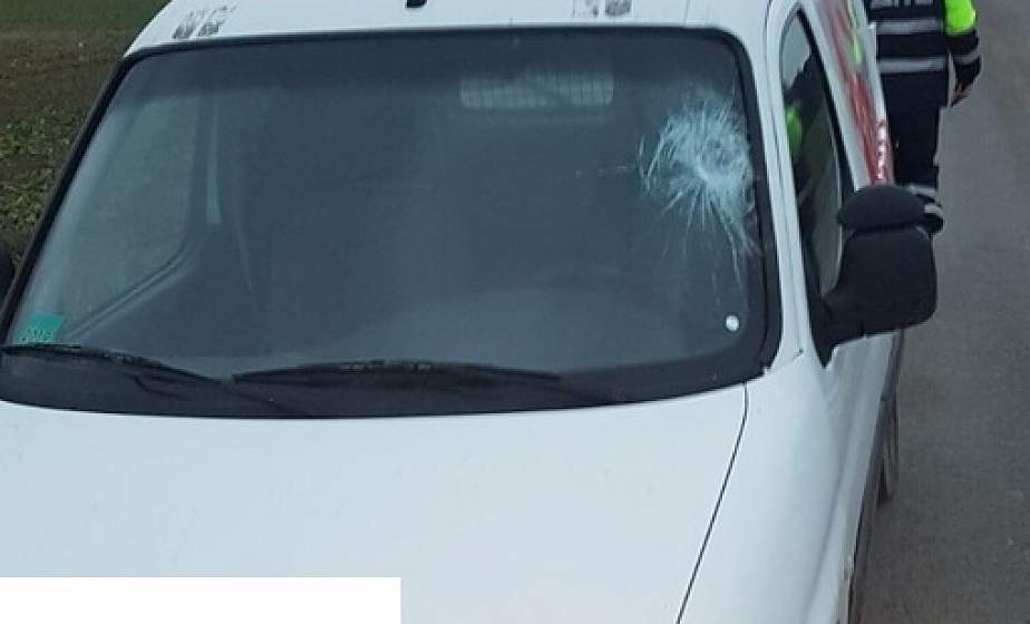 В деревне под Гродно пьяный мужчина кинул в проезжающий авто дорожный знак