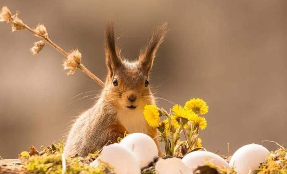Календарная весна в Беларуси начнется с дождя и мокрого снега
