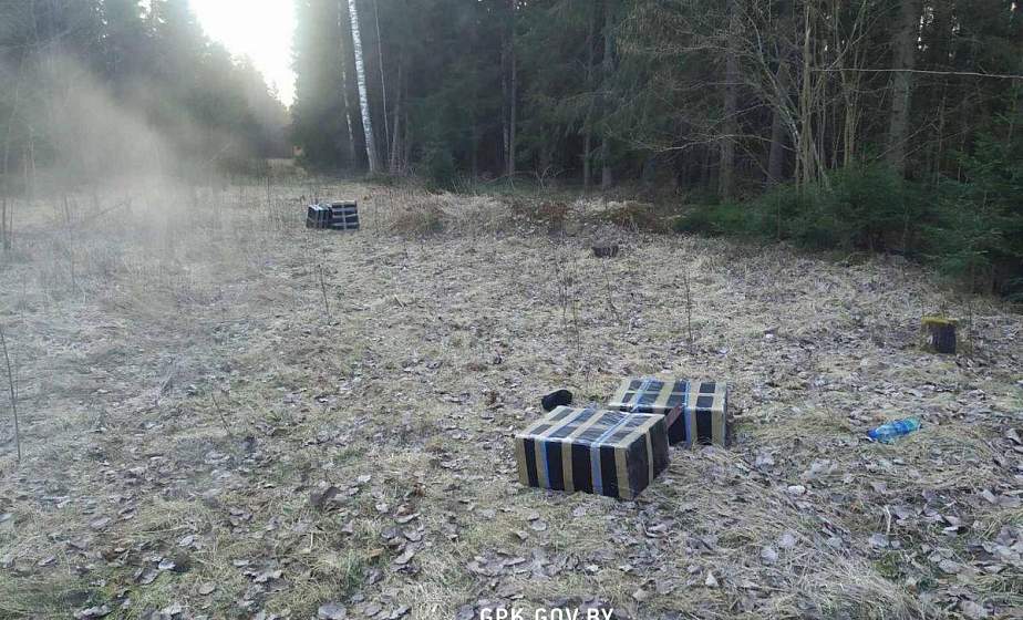 Сморгонские пограничники задержали двух жителей Постав при попытке переместить контрабанду в Литву