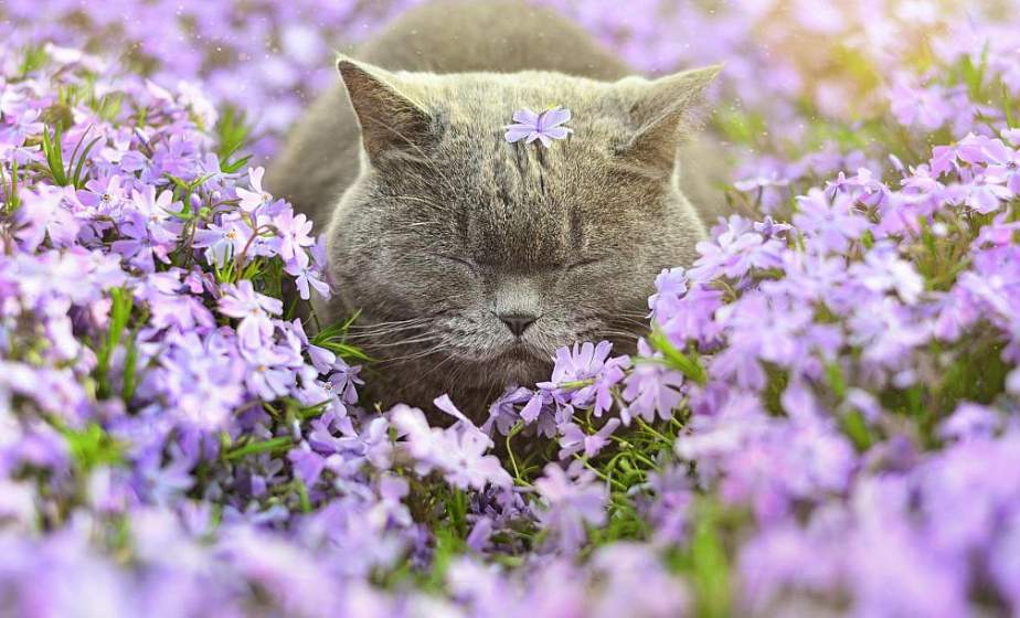 Без осадков и +12°С будет в Беларуси 26 марта