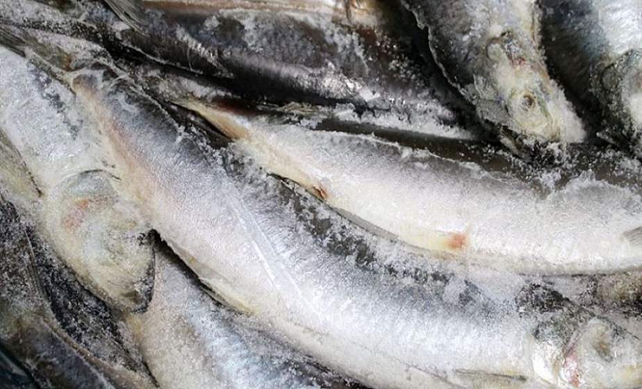 Хотели продлить срок годности? В одном из магазинов Лиды продавалась рыба, содержащая опасные пищевые добавки