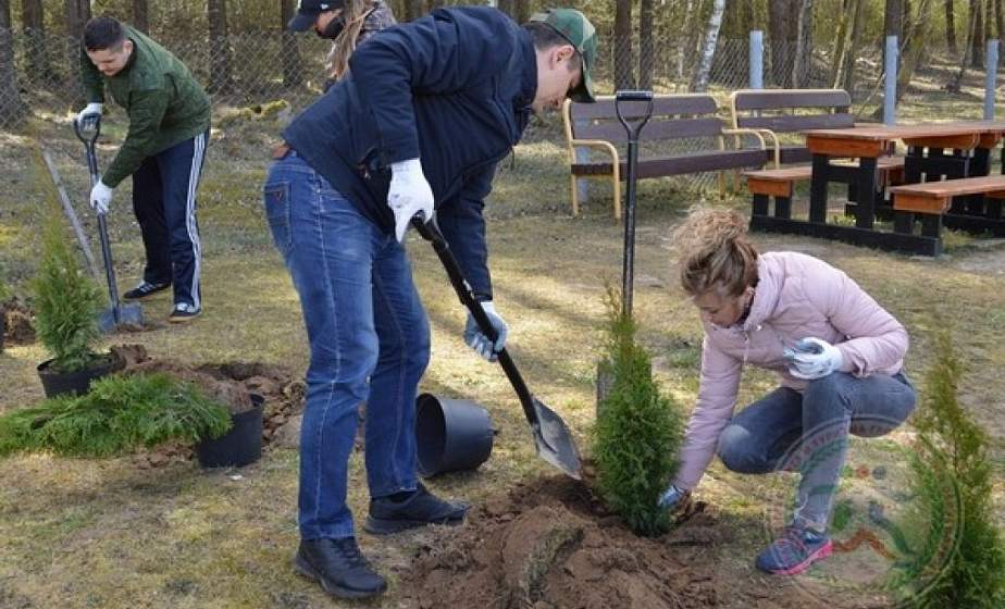 В Парке активного отдыха «Коробчицкий Олимп» появились две аллеи