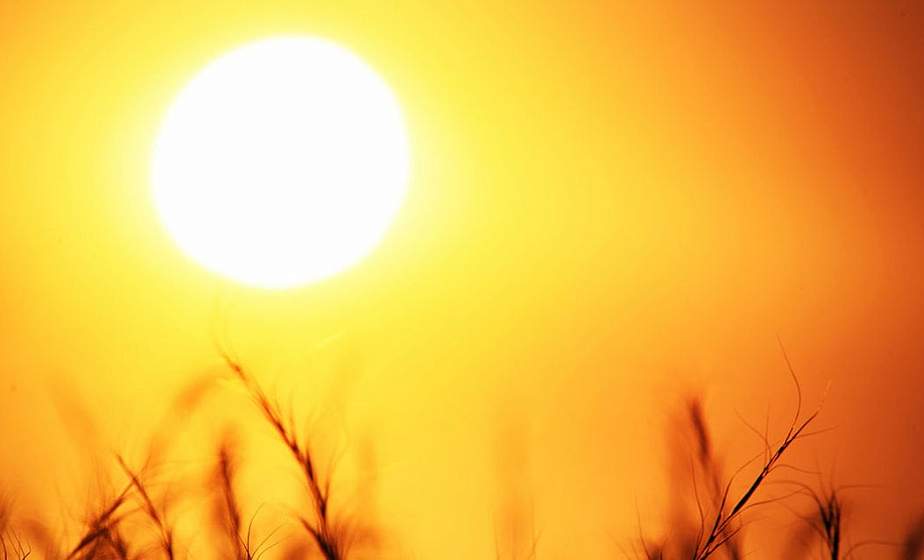 Оценена опасность распространения коронавируса при жаркой погоде 