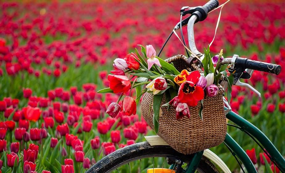 До +23°С ожидается в Беларуси 27 мая