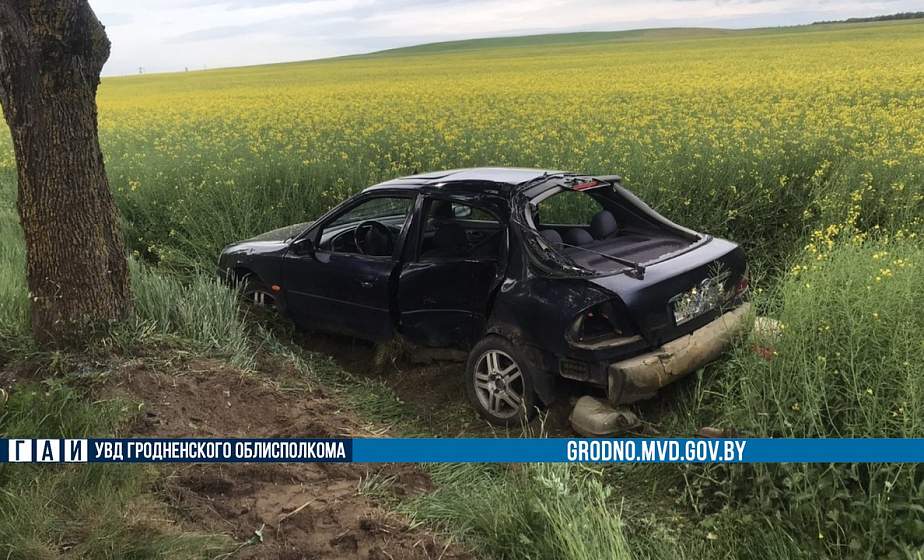 Смертельное ДТП под Гродно: пьяный бесправник врезался в дерево 