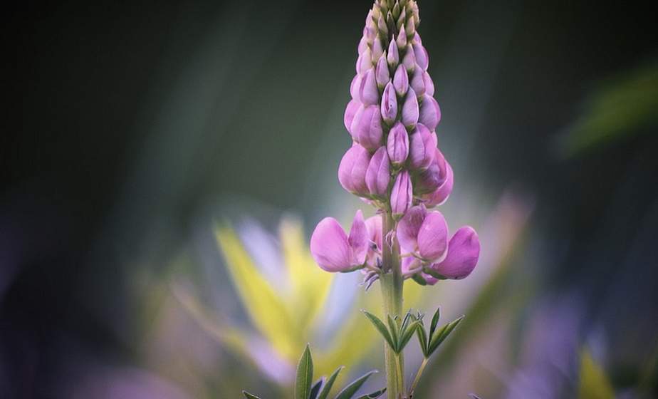 Дожди, грозы и 30-градусная жара. Какая погода ожидается в Беларуси 16 июня?