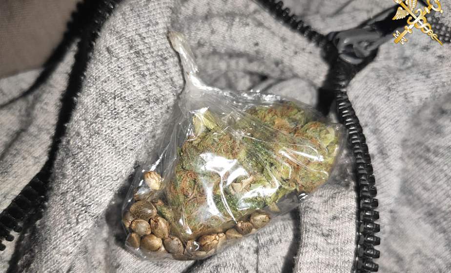  В пункте пропуска "Брузги" у водителя фуры нашли марихуану