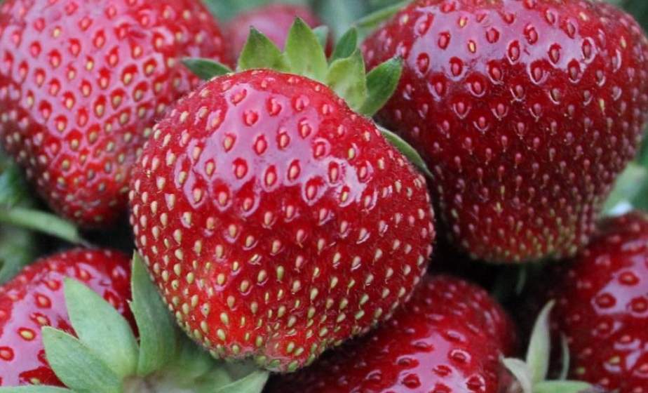Как вывести клубничные пятна. Эффективные народные рецепты 