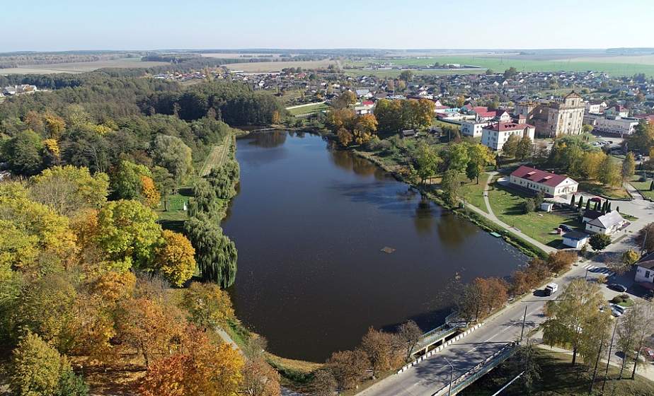 Стали известны причины мора рыбы на реке Берестовичанка 