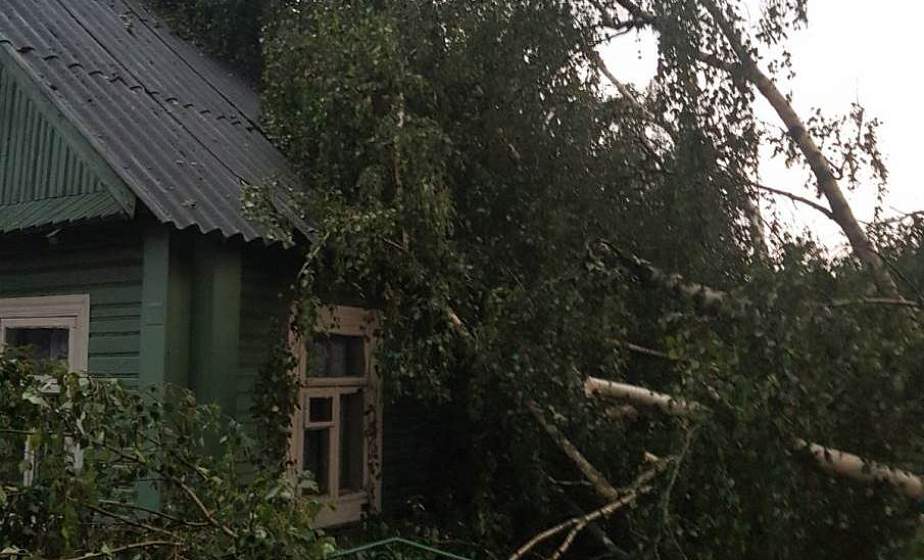 Испытание огнем и непогодой. В выходные в Лидском районе горели сарай и автомобиль, падали деревья 