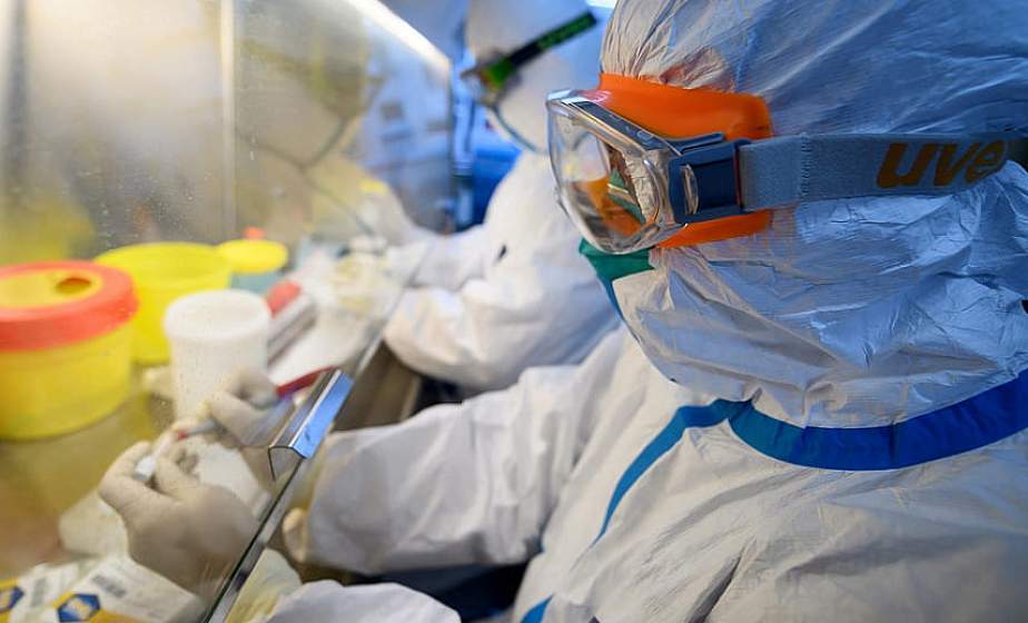 На севере Италии ученые выделили два разных штамма коронавируса