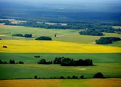 Хочешь работать – трудись, зарабатывай, создавай что-то. Для этого в Беларуси есть все условия