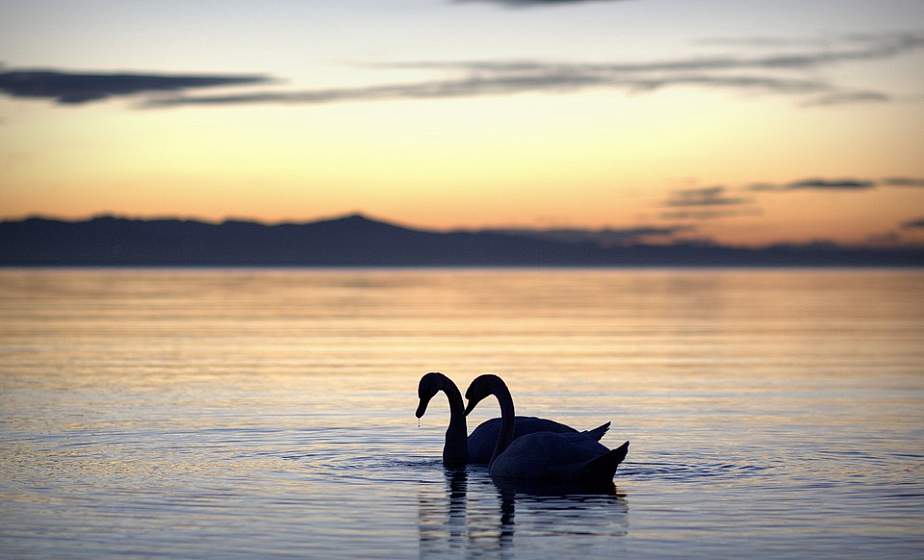 До +23°С ожидается в Беларуси 31 июля