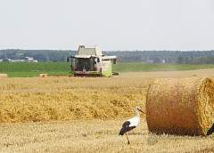 На земле могут быть разные формы хозяйствования, но приоритет нужно отдавать тем, кто может произвести больше и с меньшими затратами, обеспечить собственную продовольственную безопасность и активно работать на экспорт