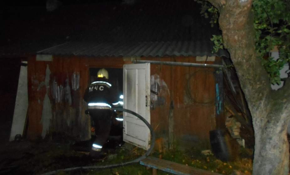 В Лиде спасатели вытащили из пожара мужчину и сняли с дерева кота