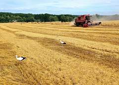 В Послании к белорусскому народу и Национальному собранию Президент Республики Беларусь обозначил четкие и конкретные задачи по развитию страны на ближайшую перспективу, затронул злободневные вопросы