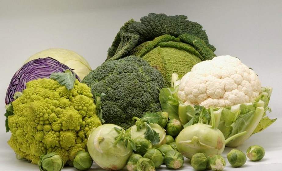 Нормализует давление и кислотность желудка. Чем еще полезна капуста