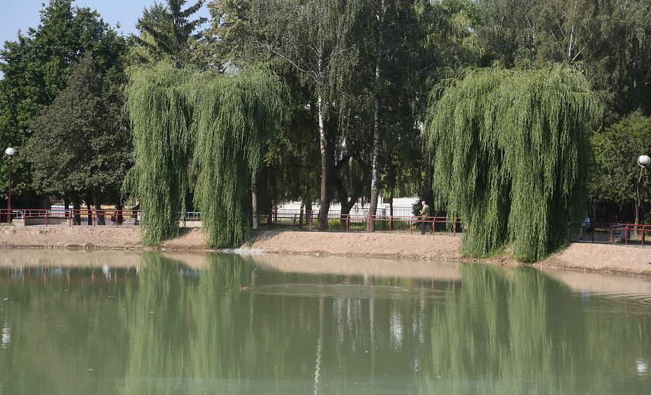 На чистых прудах распустится «Нимфея». В Гродно восстановили два водоема на улице Курчатова и Репина