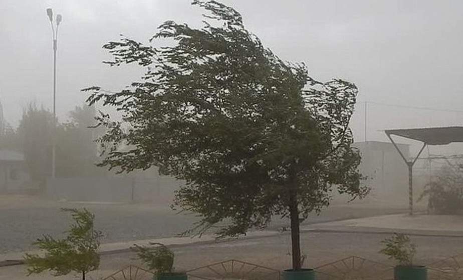    Будь в курсе! МЧС предупреждает об усилении ветра до 15-20 метров в секунду 