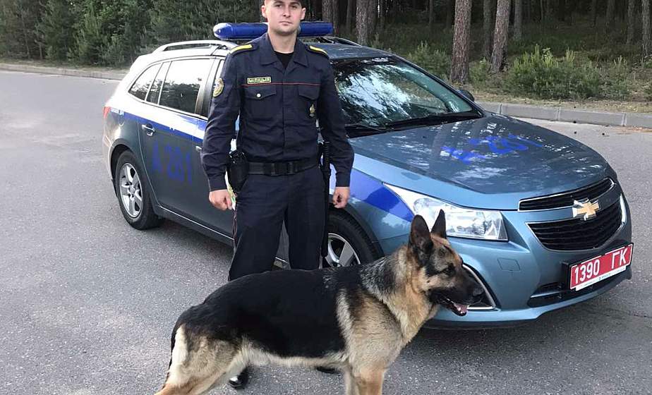 Пес с зарплатой. Сотрудник Лидского отдела Департамента охраны рассказал о службе своего четвероногого напарника