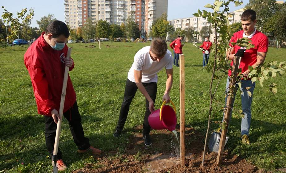Зеленое послание. В Гродно высадили деревья в честь столетия комсомола Беларуси