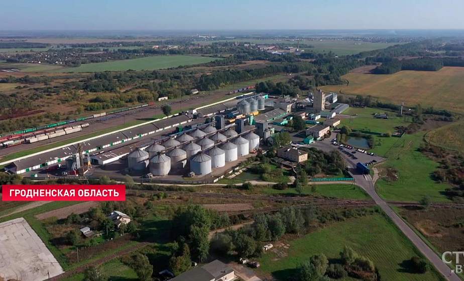 Потребитель на первом месте. Почему сотрудники «Беллакта» против забастовок на предприятиях
