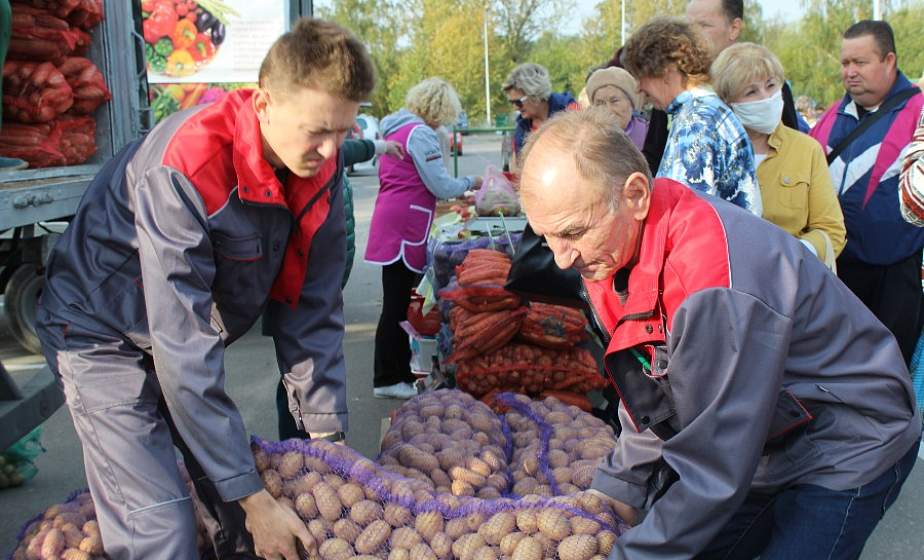 Сезонные овощи и фрукты, саженцы. В Гродненской области проходят сельхозярмарки