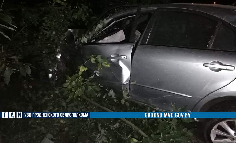 В Гродно водитель не справился с управлением и врезался в дерево 