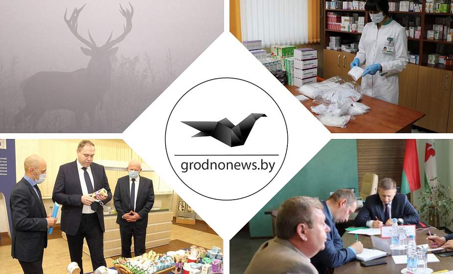 Если пропустили. Главное за вторник на сайте grodnonews.by