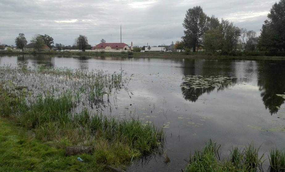 «Ничего сверхъестественного или геройского в моем поступке нет». В Дятлово сотрудник районного отдела Департамента охраны спас тонущего человека