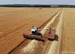 Земля не терпит простоя, и нам на земле бастовать некогда