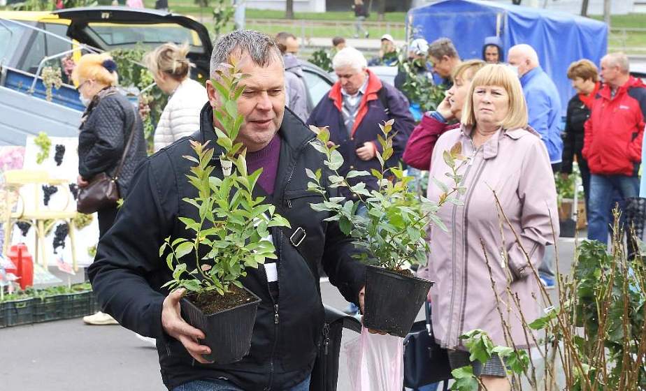 В Гродно на выходных откроется еще одна сельхозярмарка