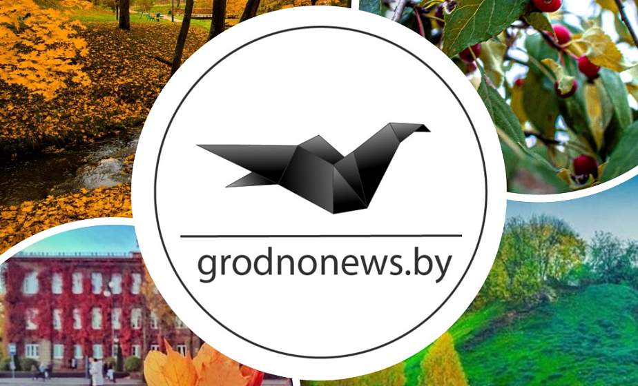 Последний день октября и золотая осень: топ-10 самых атмосферных фото из соцсетей