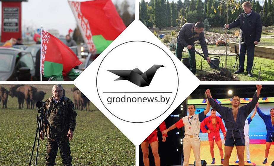 Автопробег "За единую Беларусь", новый чемпион мира по самбо, работа в Беловежской пуще. Главное за 8 ноября