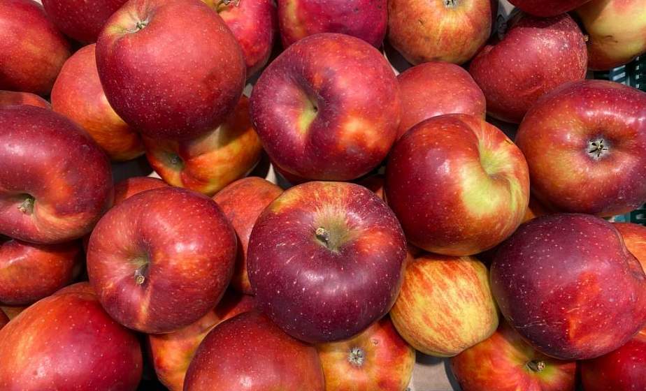 ФПБ: существенный рост цен на продукты наблюдается только по отдельным позициям