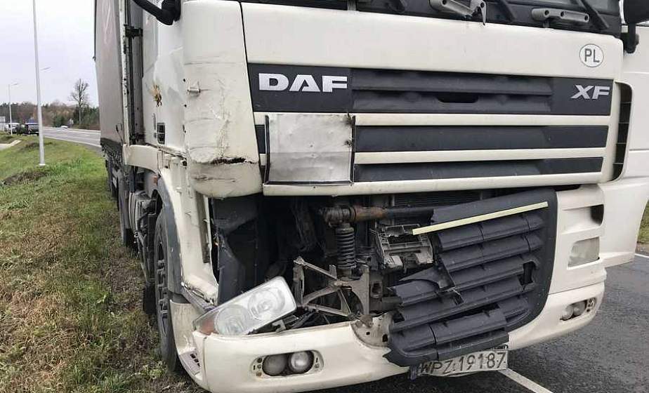 ДТП с дикими животными. В Лидском районе в выходные под машины попали лось и косуля