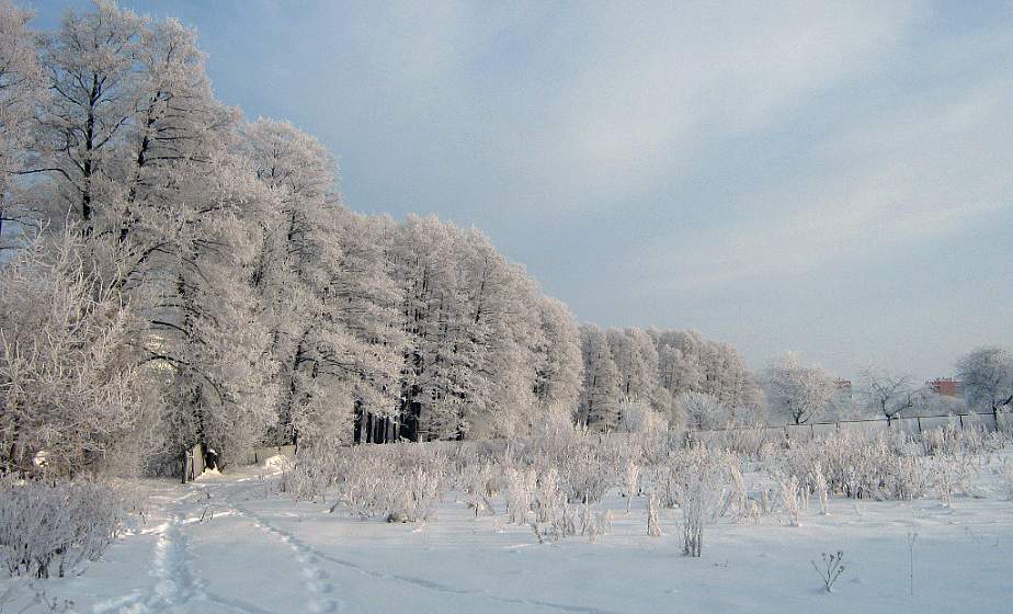 В канун Рождества и Нового года в галерее фотоклуба «Гродно» открылась дебютная выставка  "Високосный год"  Людмилы Юрахно