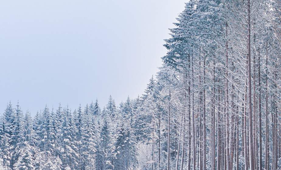 Оранжевый уровень опасности объявлен на 28 декабря из-за порывистого ветра
